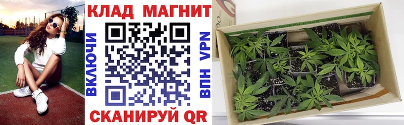 Наркота Яхрома Марихуана  Alpha PVP  АМФ  ГАШ 
